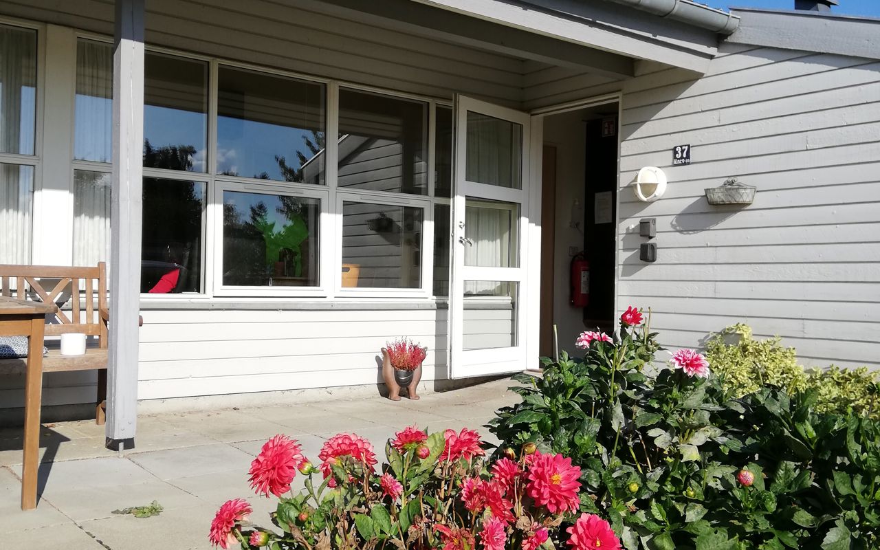 Vibo set udefra. Der er en terrasse og en masse fine, røde blomster.