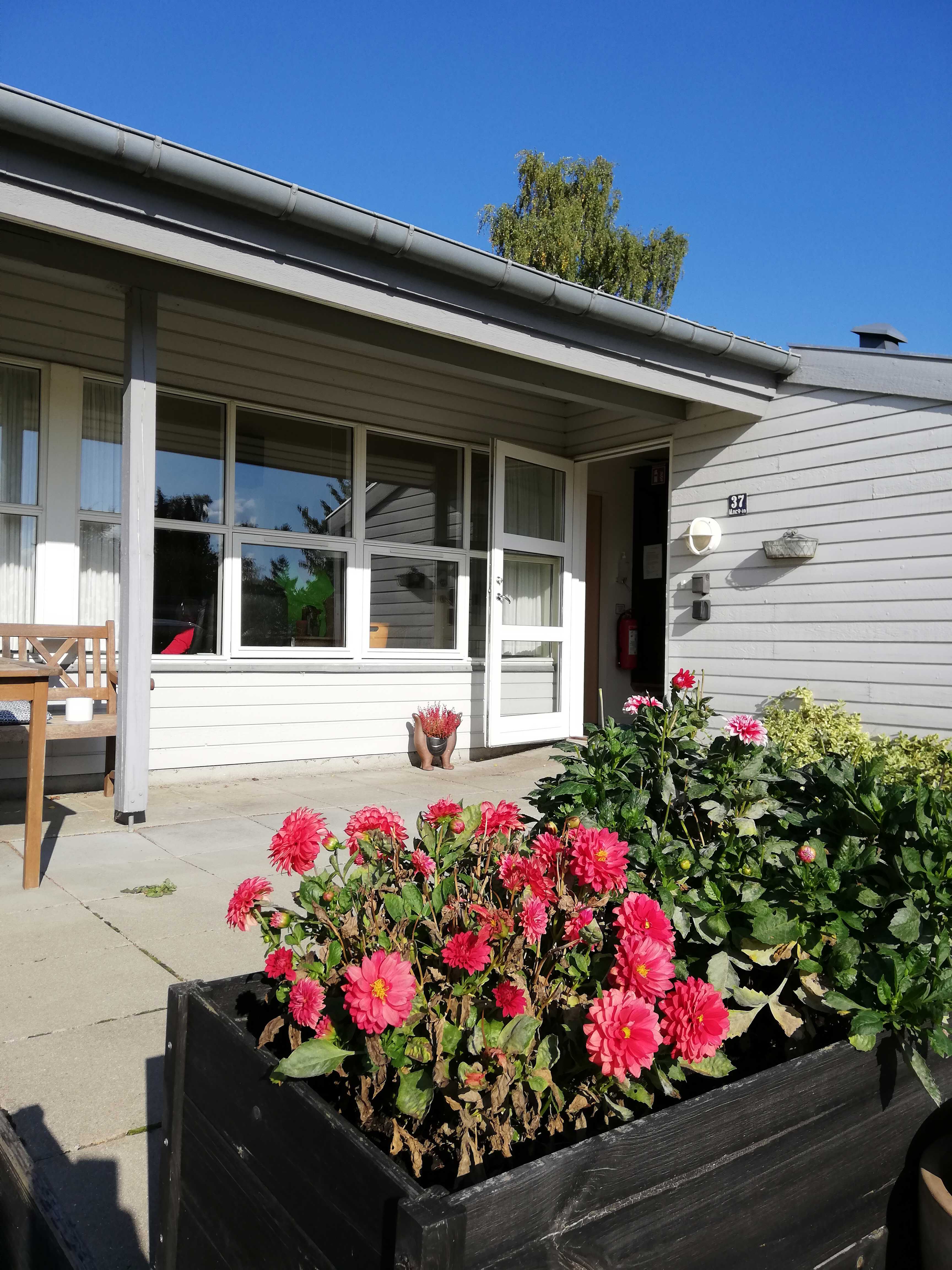 Vibo set udefra. Der er en terrasse og en masse fine, røde blomster.